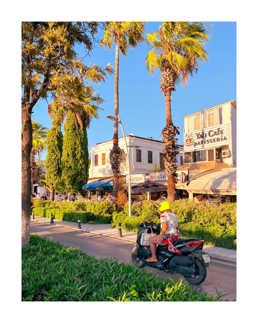 Bodrum 2024. Film and another stuff