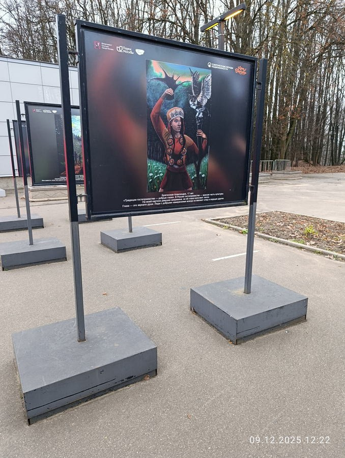 Шашкина Юлия Владимировна. Галерея участников Российской Премии Искусств