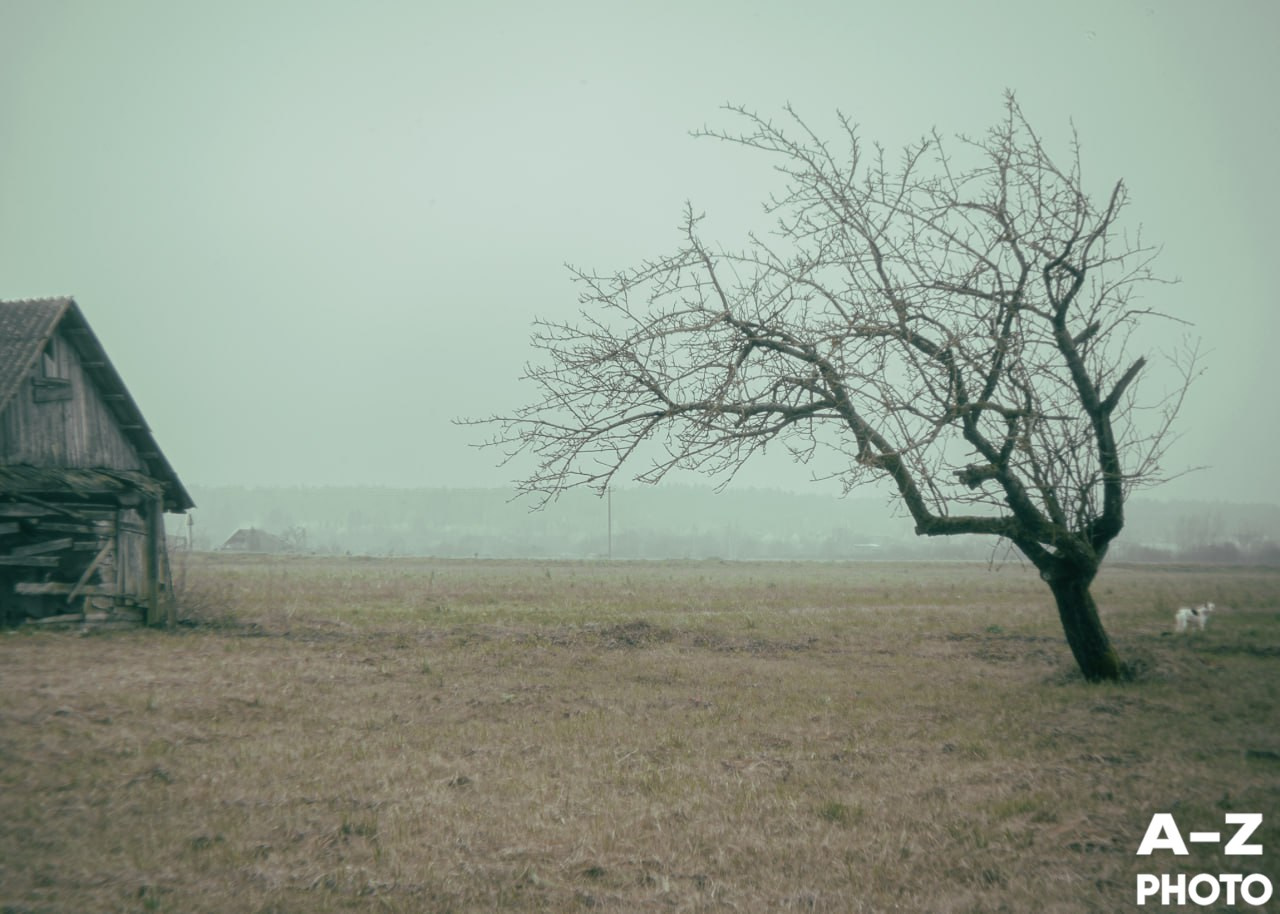 Фотонедели. Женский семейный фотограф Тула Москва Захарова Анна
