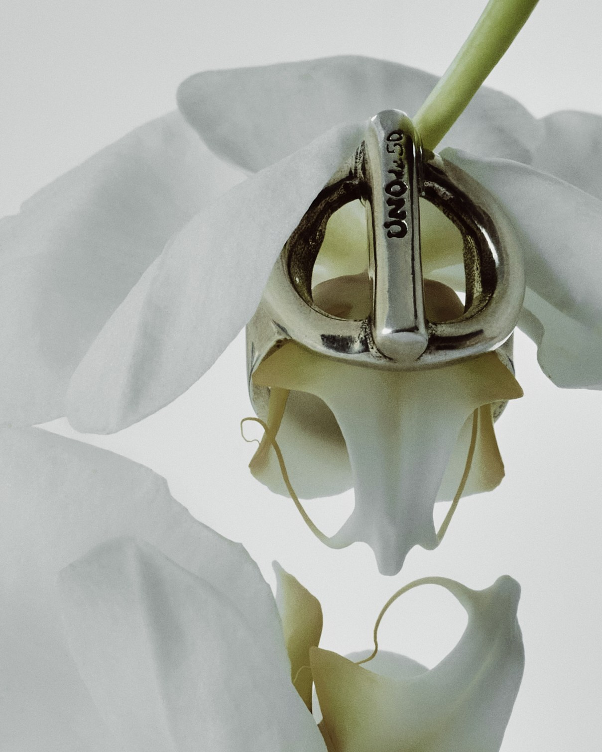 JWLR. Фотограф Елена Вороха. Москва