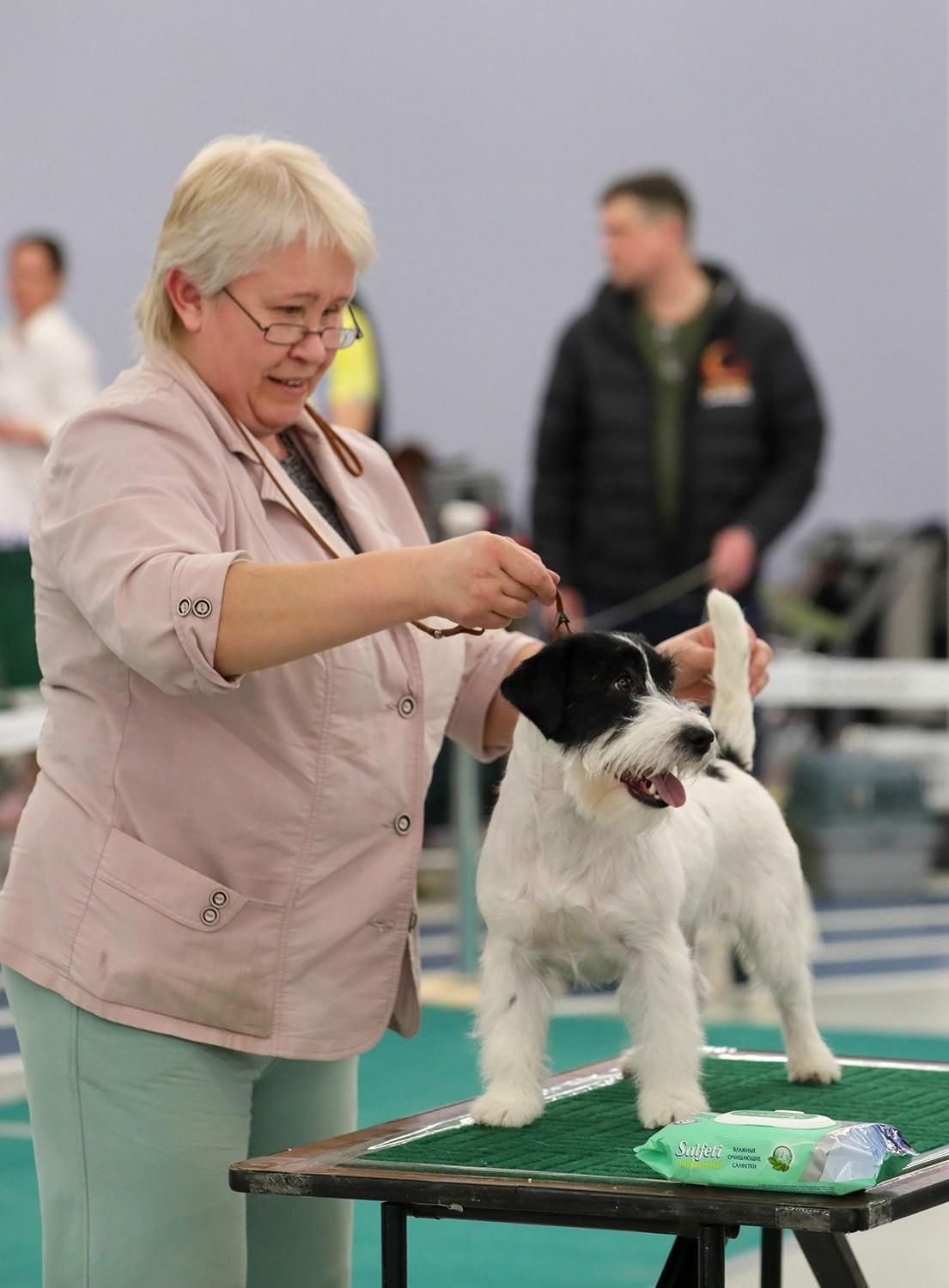 Port Fortis Play Boy