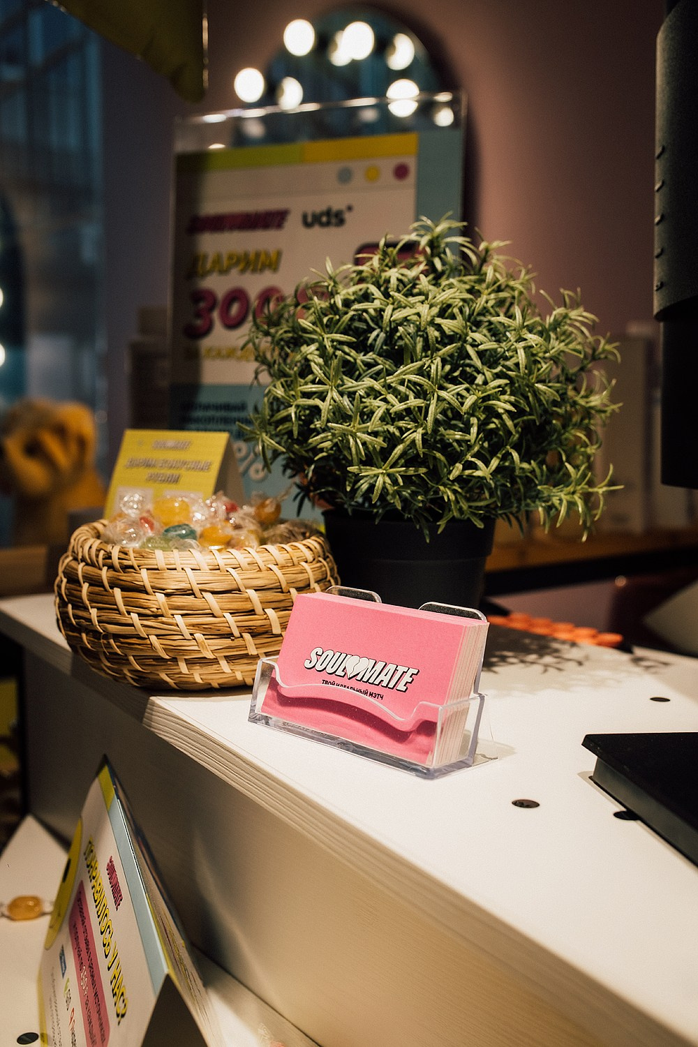 Офисный Корпоратив. Devitya photo