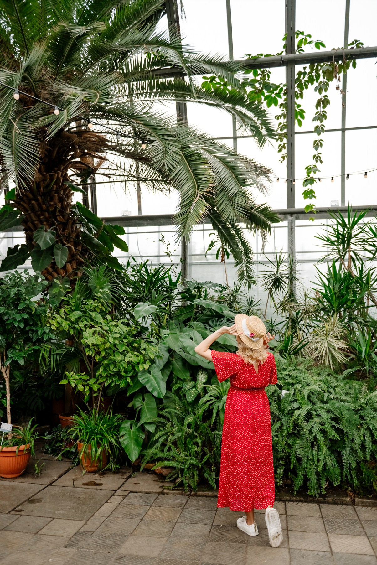 Беременность. В Оранжерее. Свадебный и сеейный фотограф в Санкт-Петербурге Елена Худякова