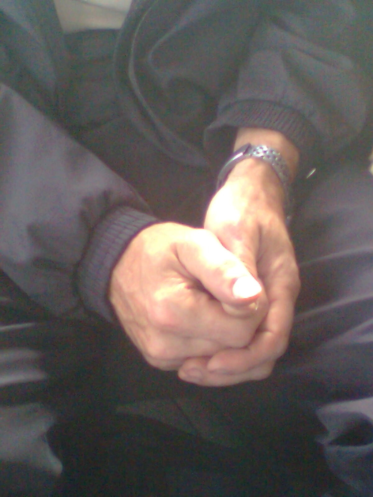 Как прекрасен этот мир — 2 (2019). Художник. Фотограф