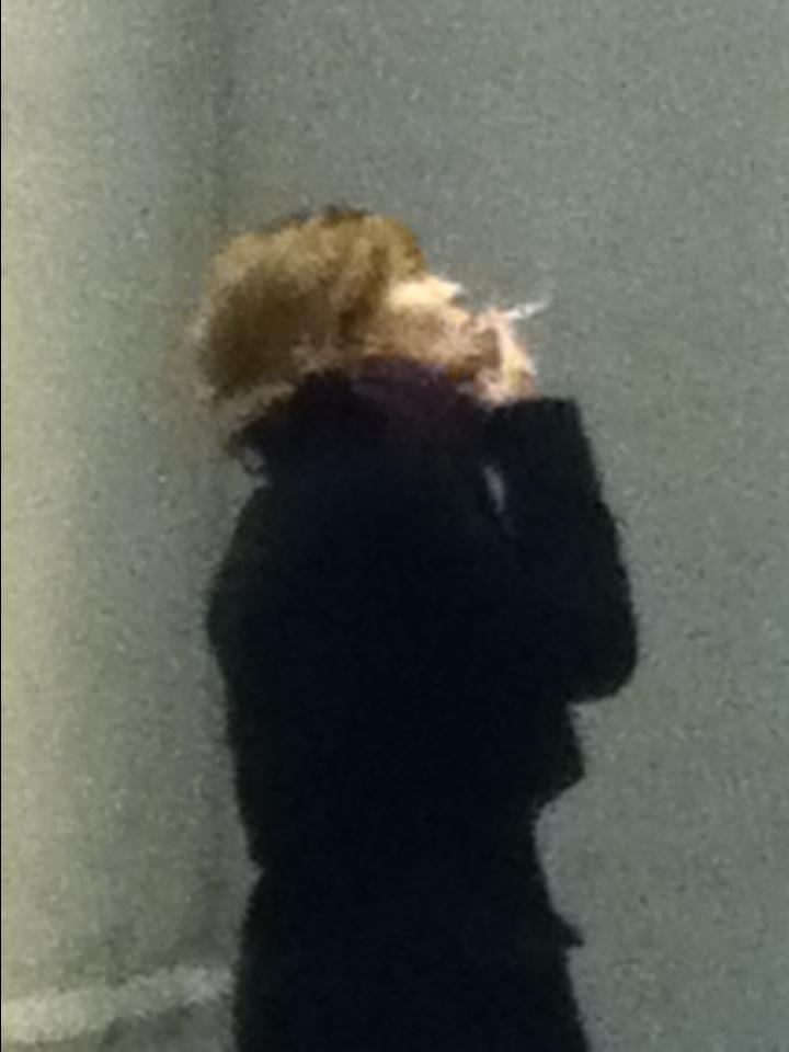 Как прекрасен этот мир — 2 (2019). Художник. Фотограф