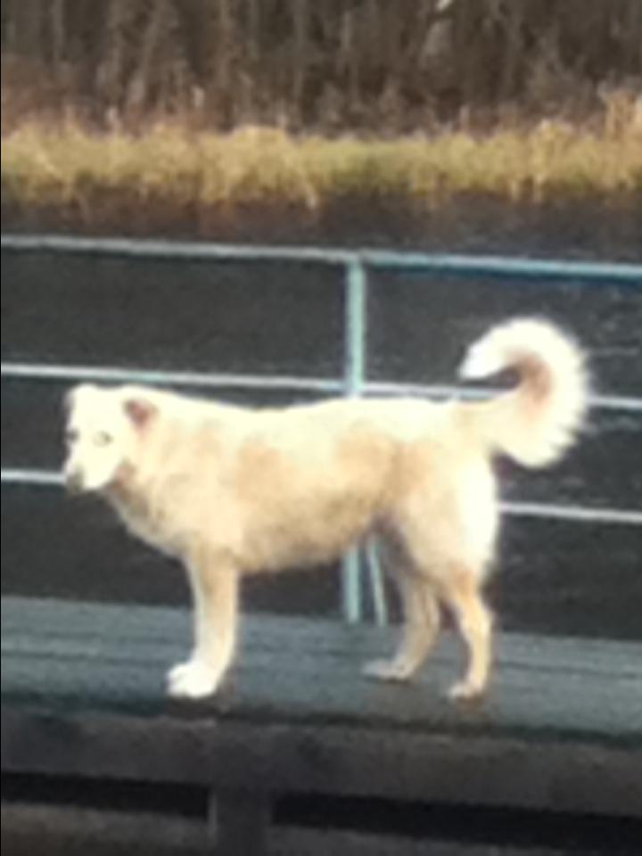 Как прекрасен этот мир — 2 (2019). Художник. Фотограф