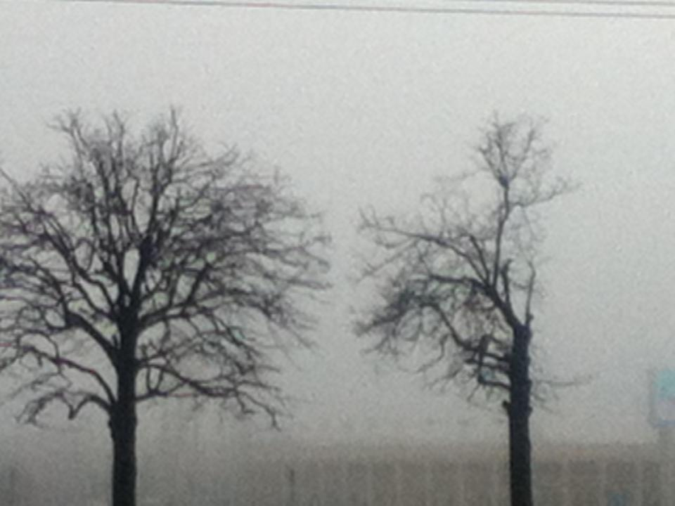 Как прекрасен этот мир — 2 (2019). Художник. Фотограф