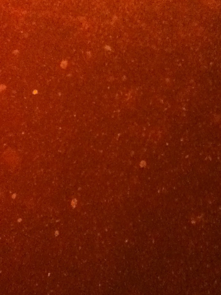 Как прекрасен этот мир — 2 (2019). Художник. Фотограф