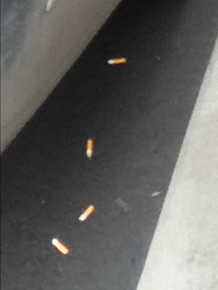 Как прекрасен этот мир — 2 (2019). Художник. Фотограф