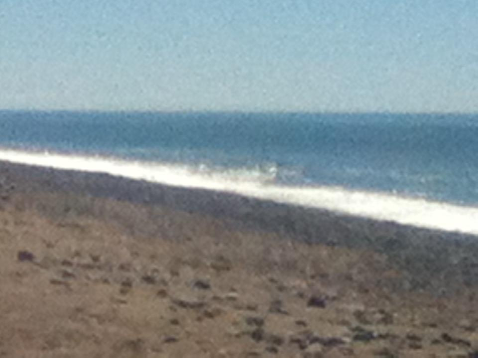 Как прекрасен этот мир — 2 (2019). Художник. Фотограф