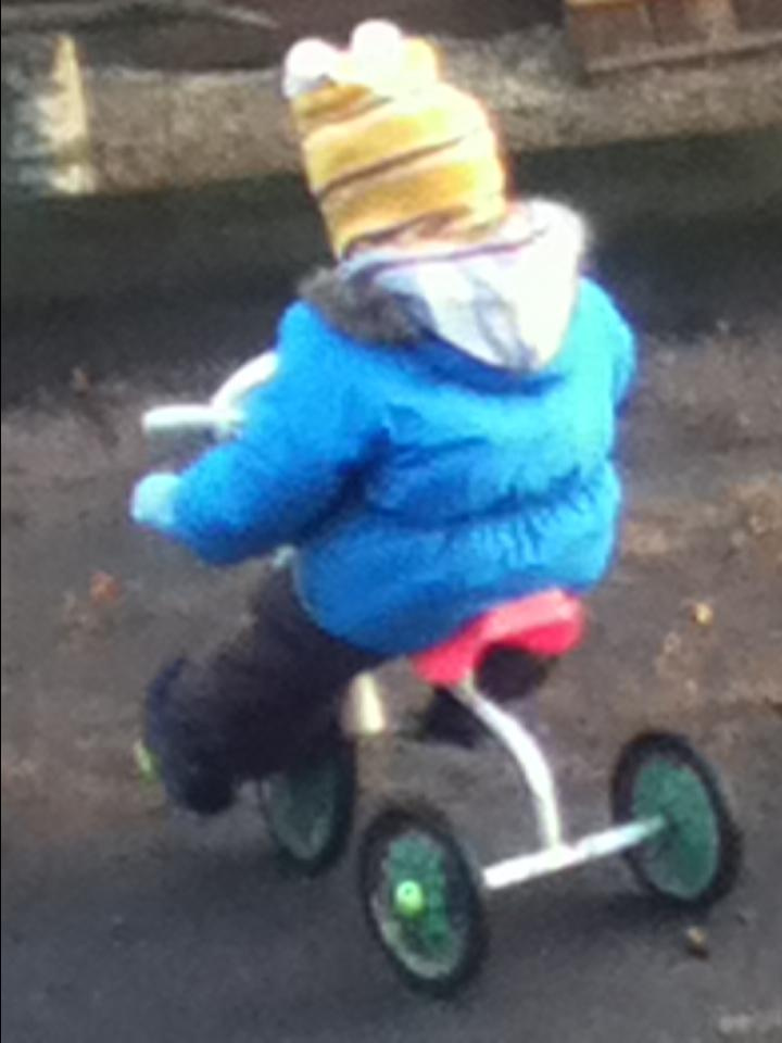 Как прекрасен этот мир — 2 (2019). Художник. Фотограф