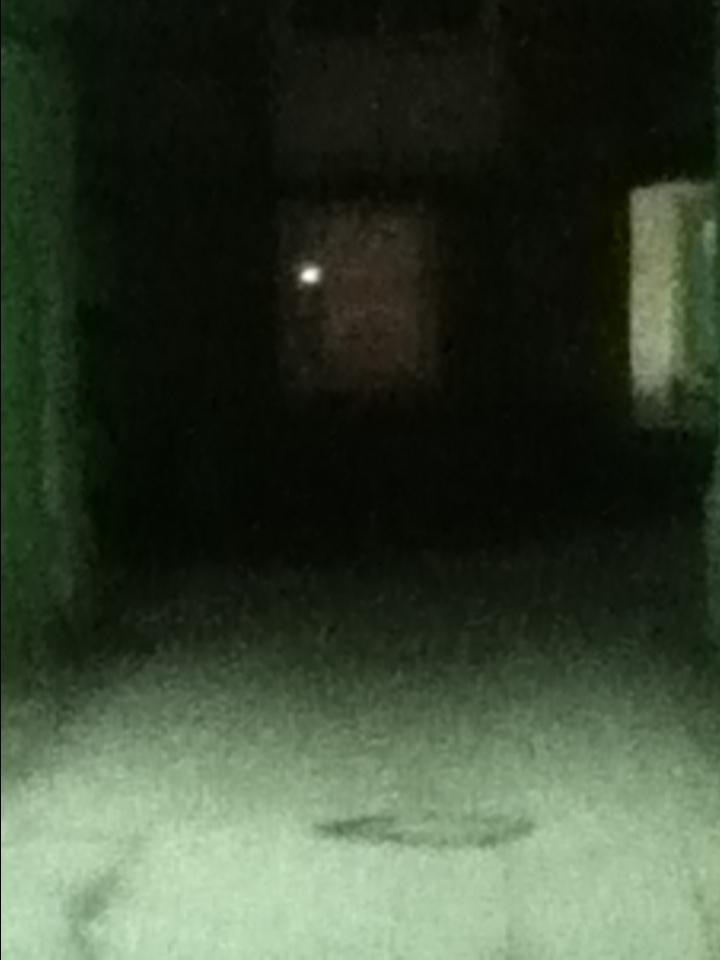 Как прекрасен этот мир — 2 (2019). Художник. Фотограф