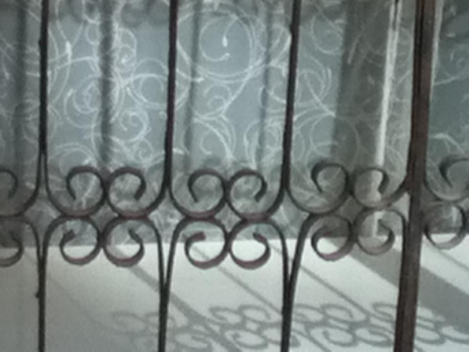 Как прекрасен этот мир — 2 (2019). Художник. Фотограф