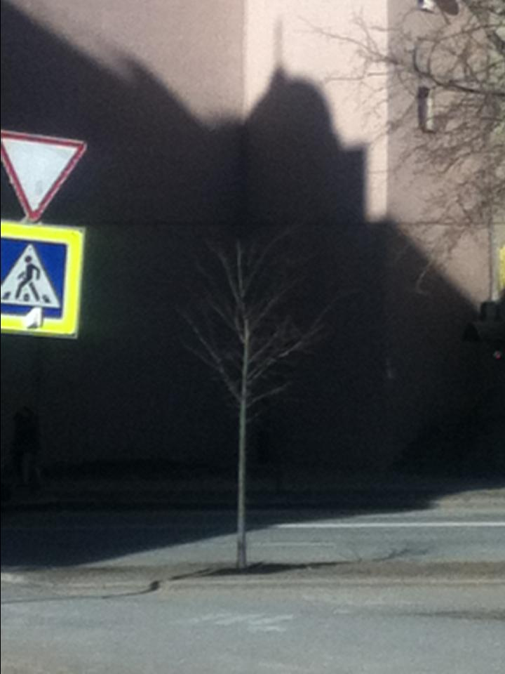 Как прекрасен этот мир — 2 (2019). Художник. Фотограф