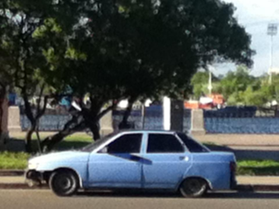 Как прекрасен этот мир — 2 (2019). Художник. Фотограф