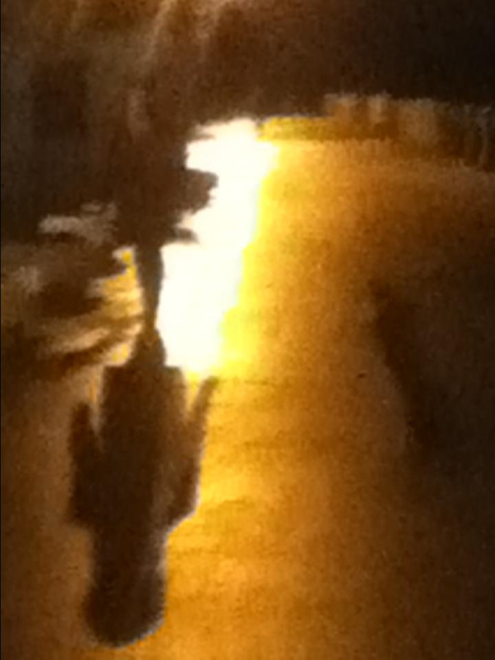 Как прекрасен этот мир — 2 (2019). Художник. Фотограф