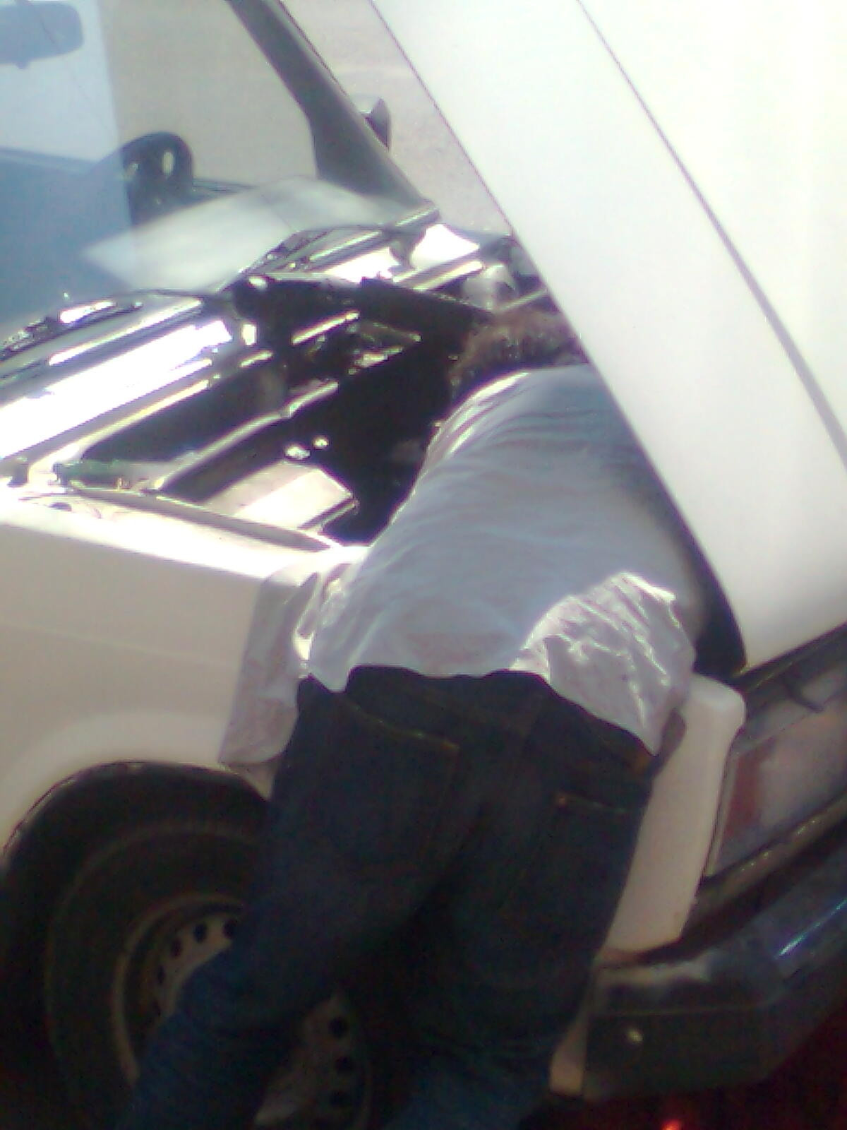 Как прекрасен этот мир — 2 (2019). Художник. Фотограф