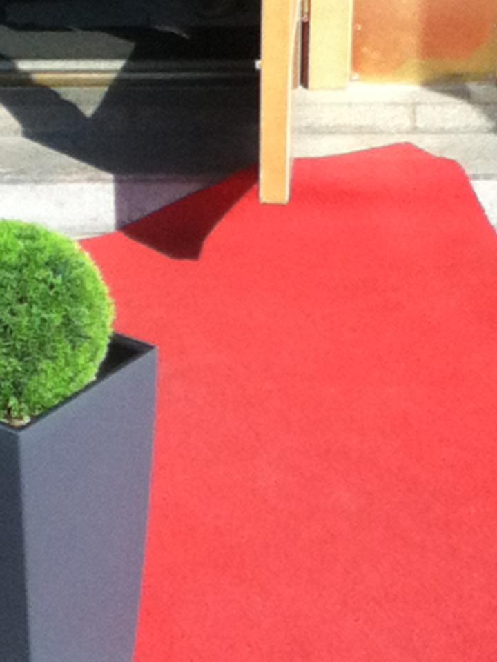 Как прекрасен этот мир — 2 (2019). Художник. Фотограф