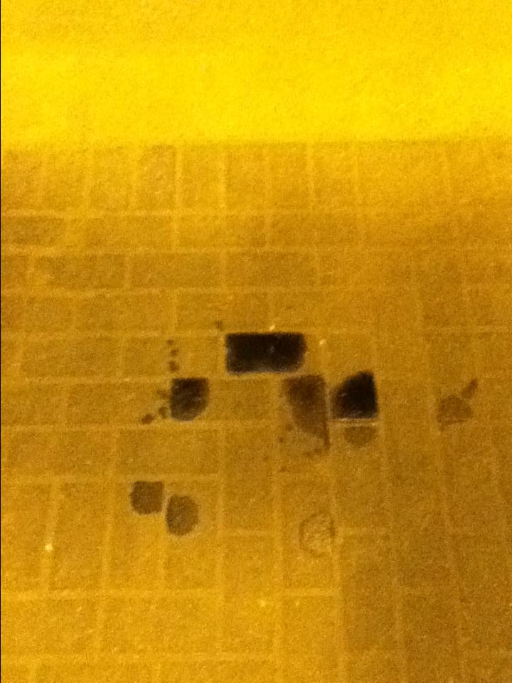 Как прекрасен этот мир — 2 (2019). Художник. Фотограф