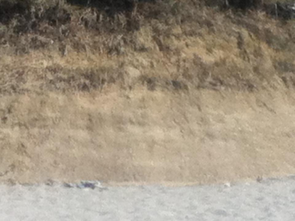 Как прекрасен этот мир — 2 (2019). Художник. Фотограф