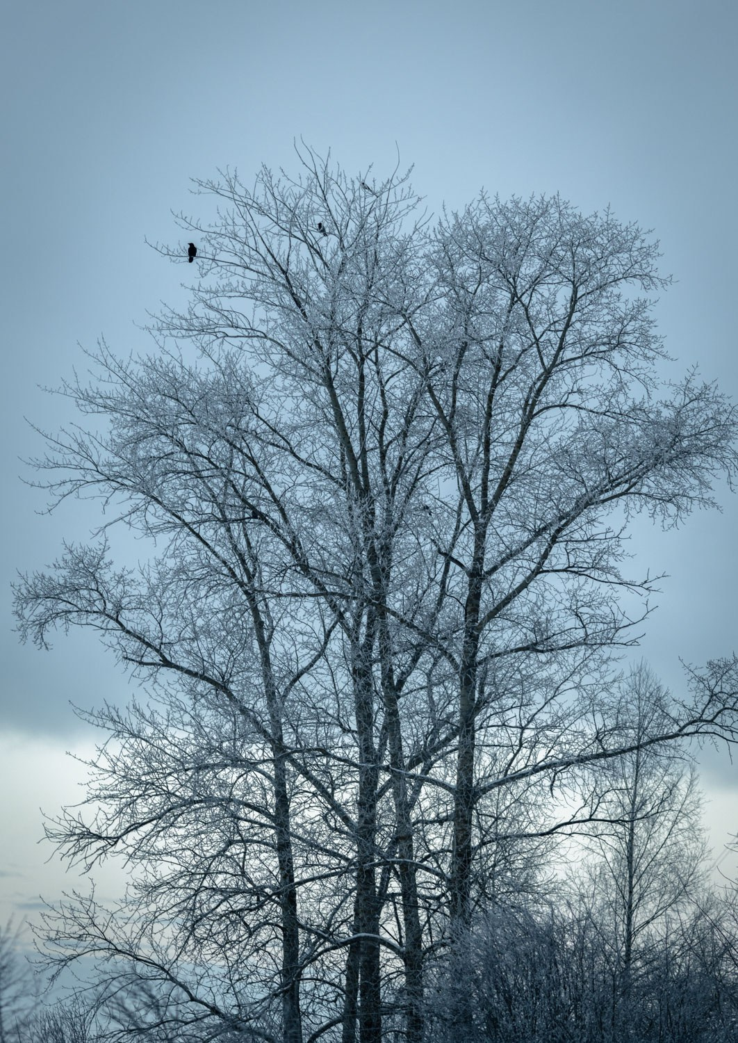 Природные пейзажи. Наталия Клевинскас портретный фотограф в Костроме