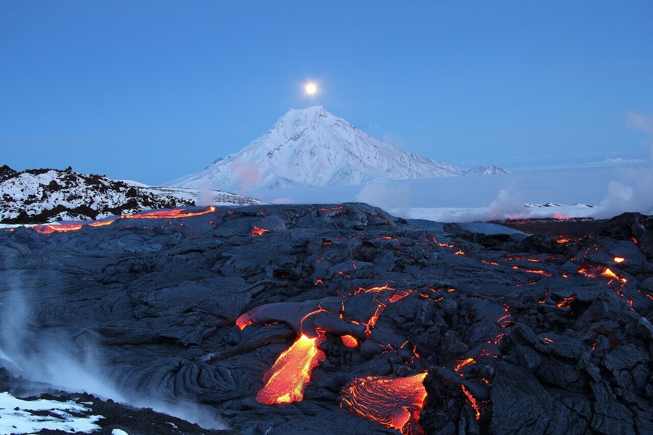 Begomvprofcom.wfolio.pro