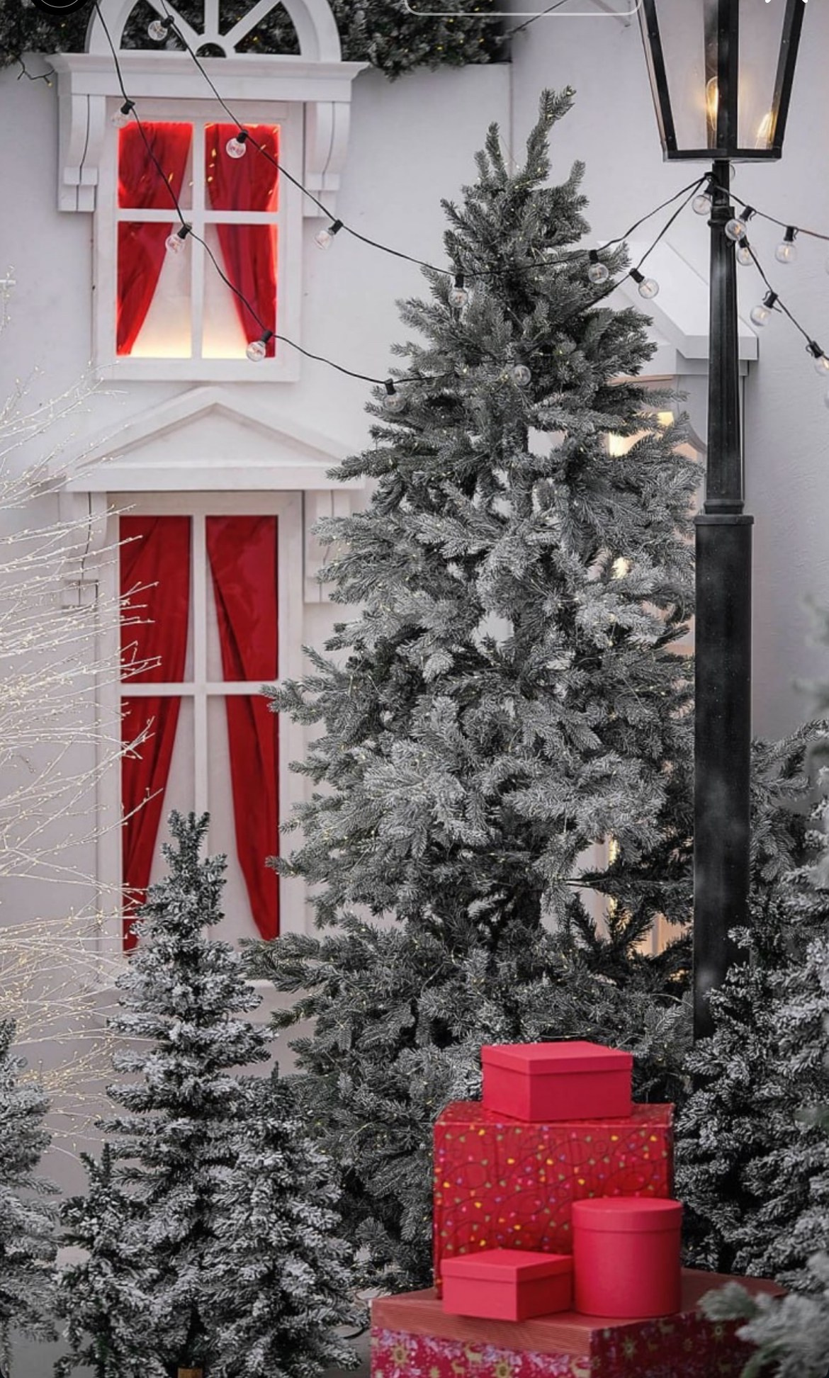 🎁 НОВОГОДНИЙ ФОТОДЕНЬ «ЩЕЛКУНЧИК». Свадебный фотограф в Казани, РТ, РФ Миннуллин Динар