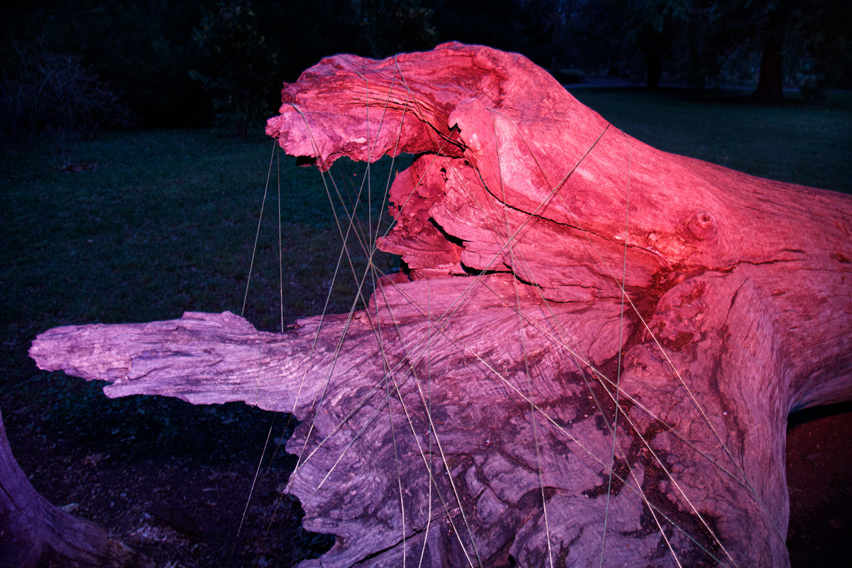 Luna. Photographer, Documentary and Art