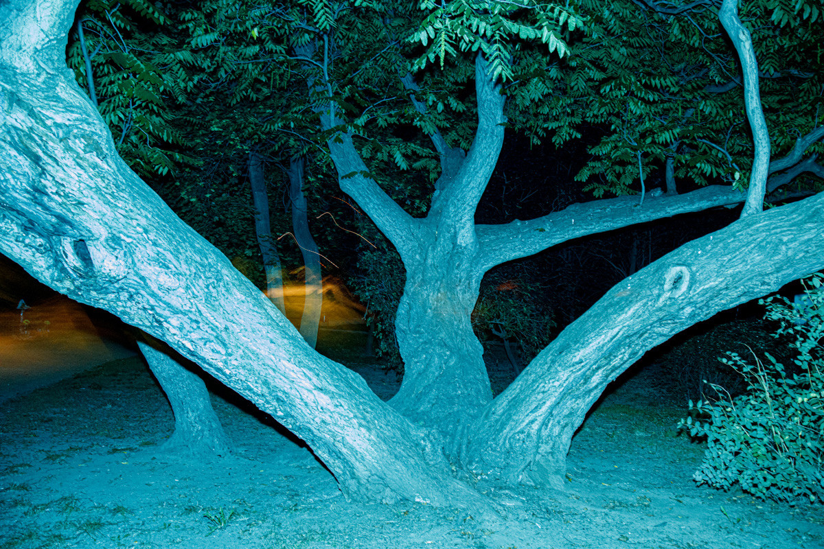 Luna. Photographer, Documentary and Art