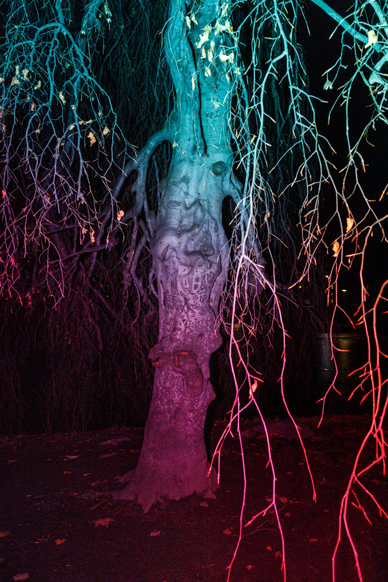 Luna. Photographer, Documentary and Art