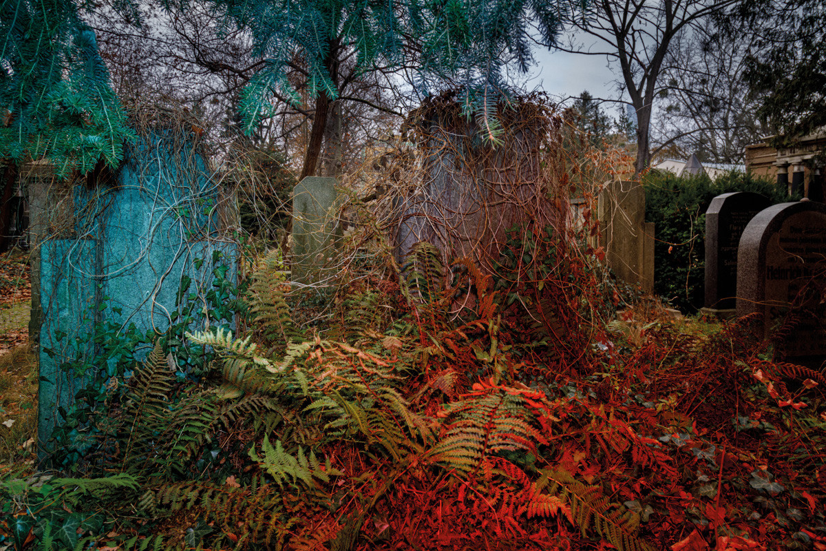 Luna. Photographer, Documentary and Art