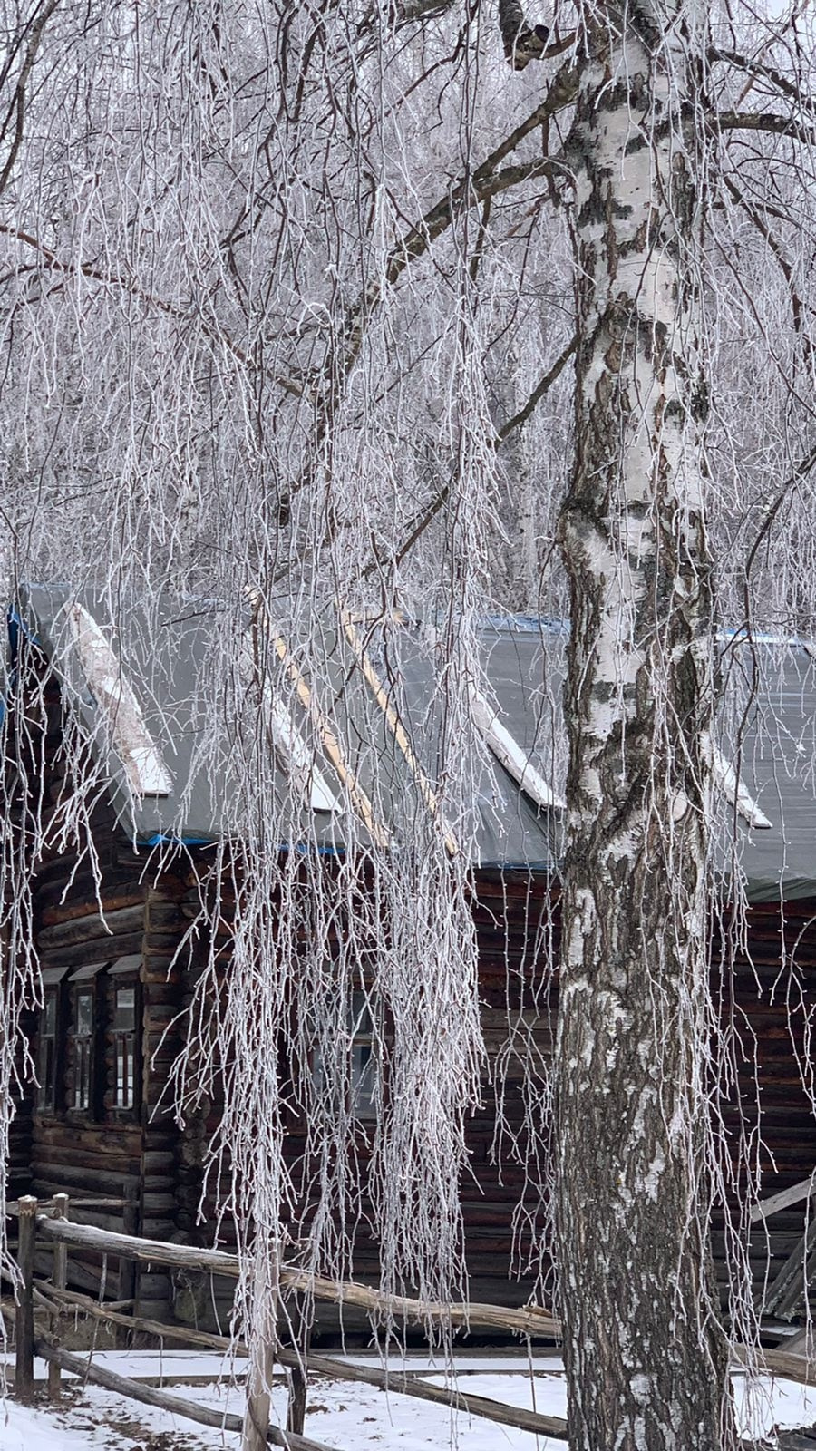 Кострома | 08-09.02.2025. Галерея Фантим