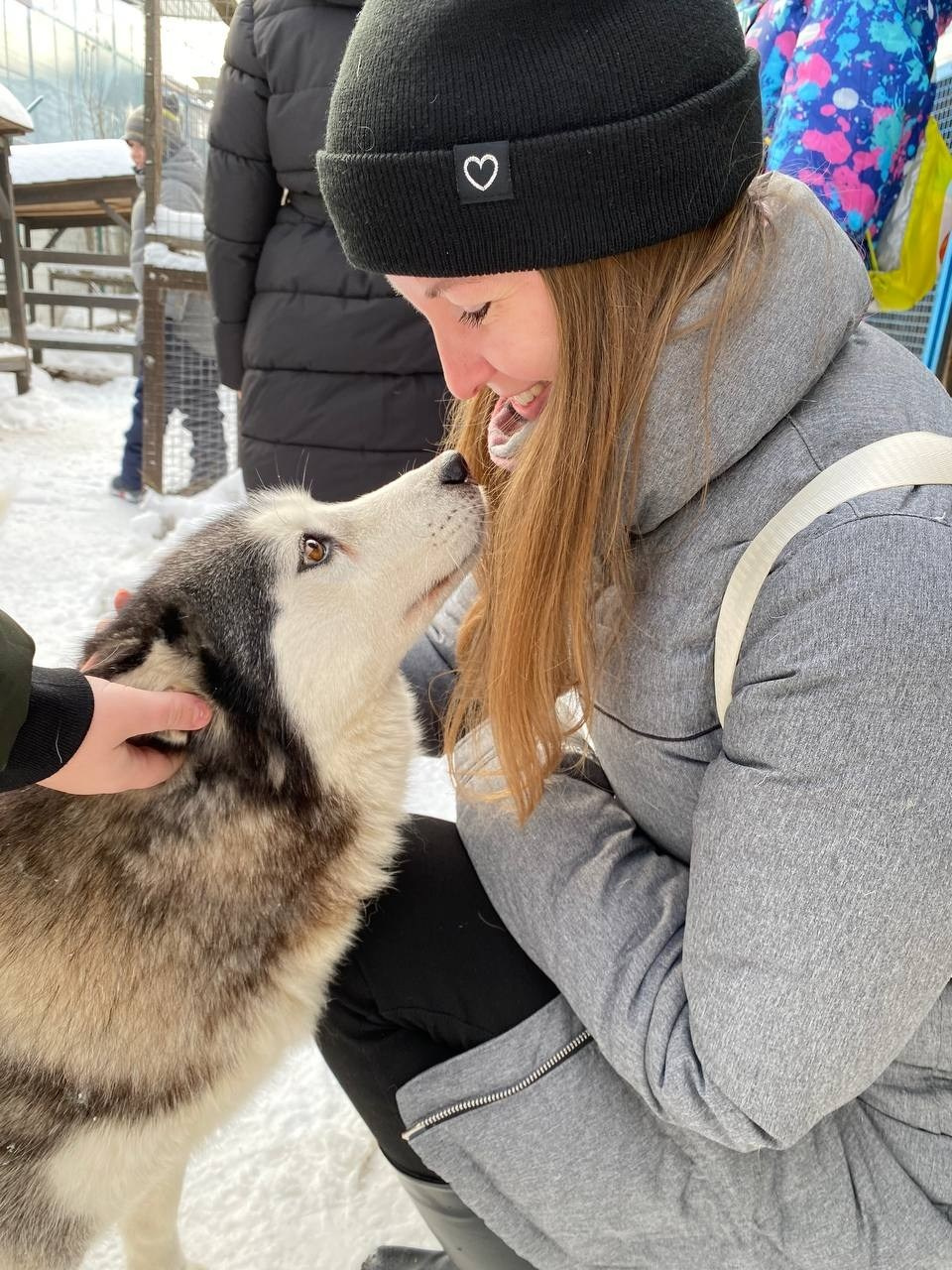В гости к северным оленям | 02.12.2023. Галерея Фантим