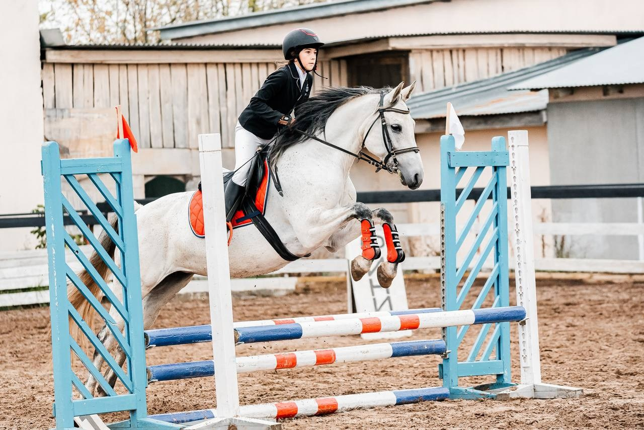 ОСЕННИЙ КУБОК КСК «СОЗВЕЗДИЕ» по КОНКУРУ. Конный фотограф Куракина Дарья • Фотосессии с лошадьми