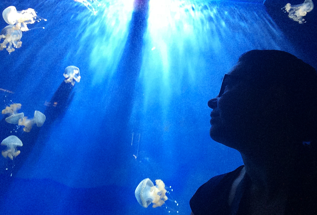 Фотограф Татьяна Ненюкова контакты