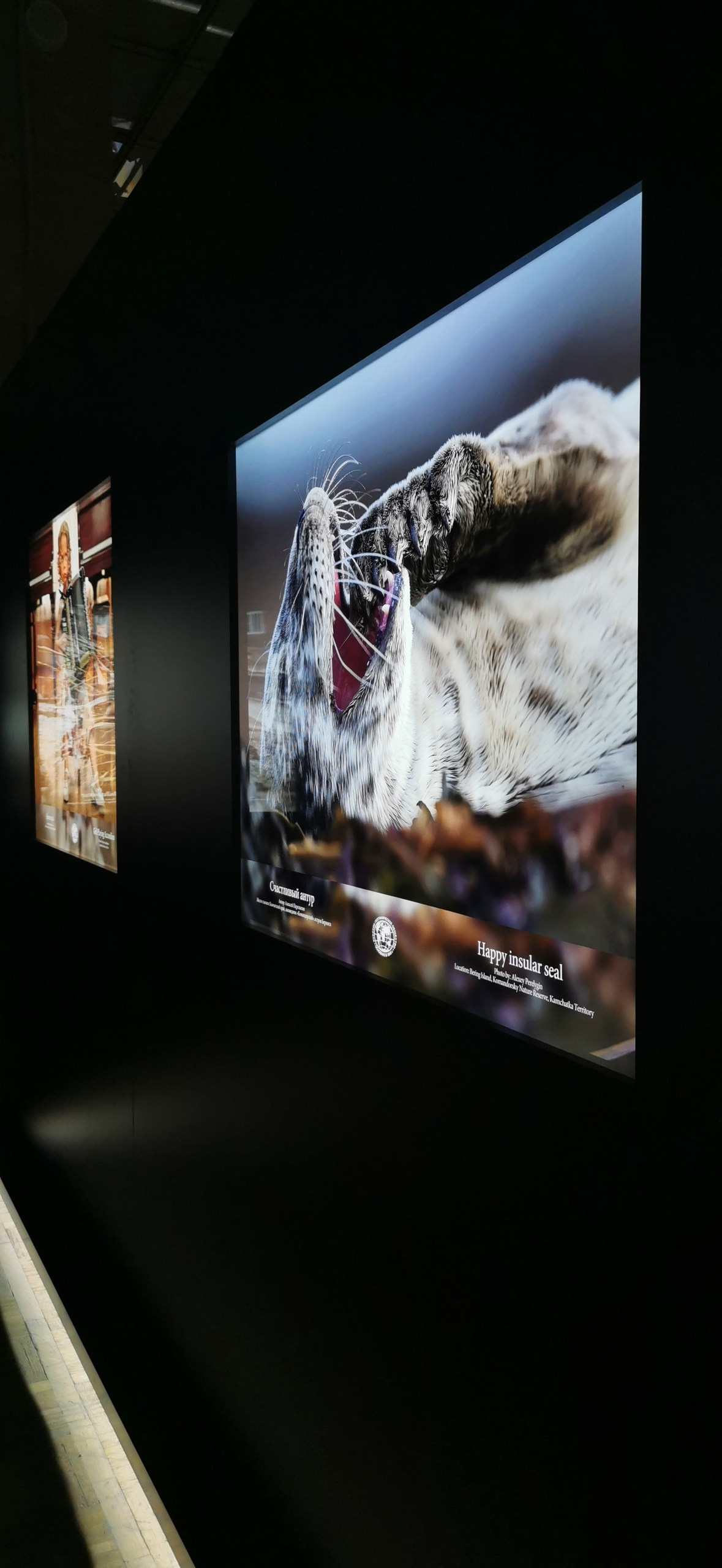 Новости. Выставка РГО. Фототуры и обучение пейзажной фотографии