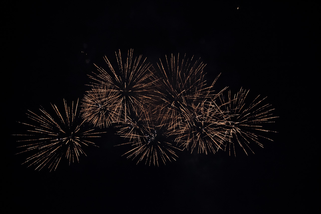 Олег и Елена