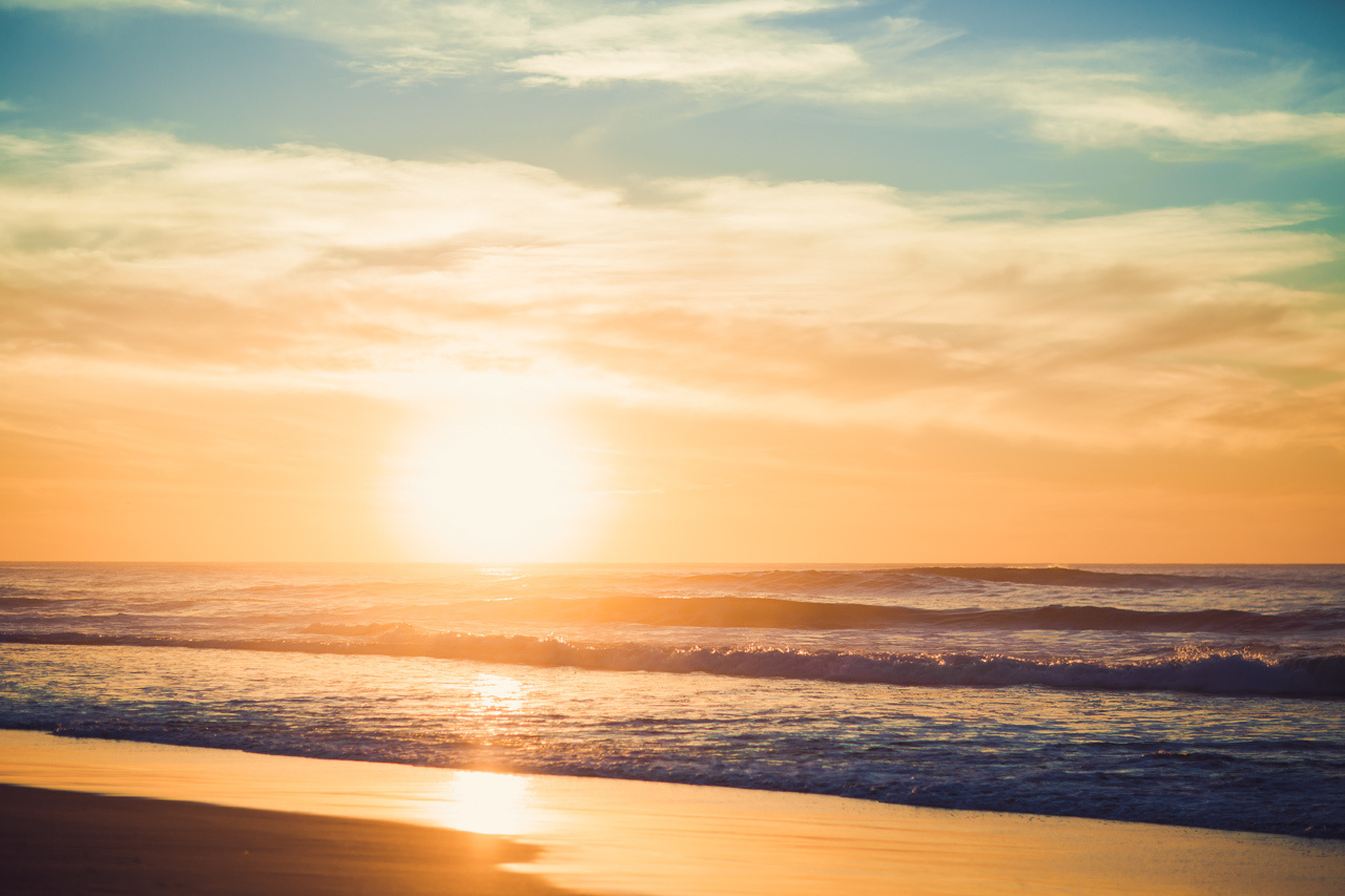 Алексей и Яна