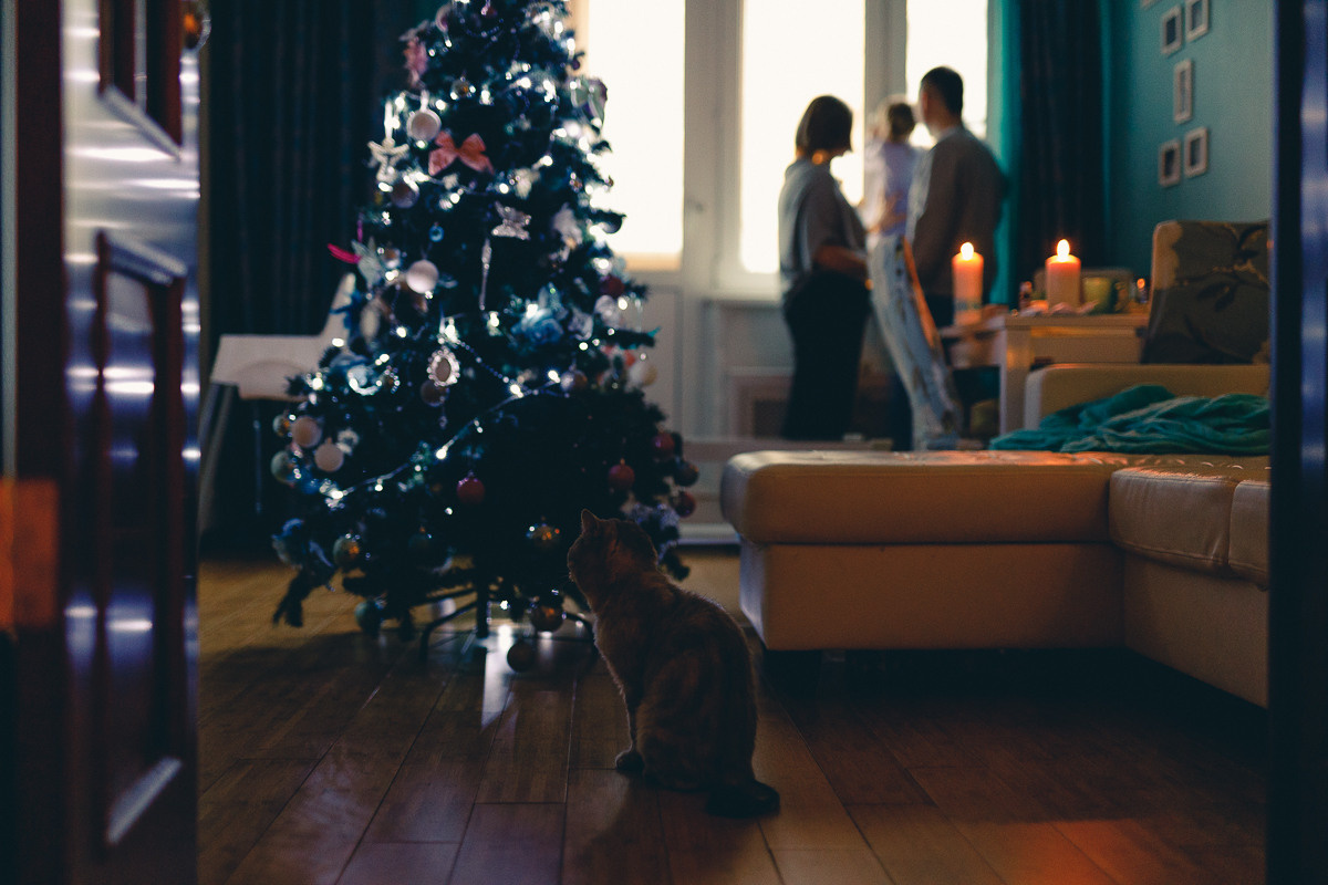 Sweet home. Фотограф Наташа Румянцева