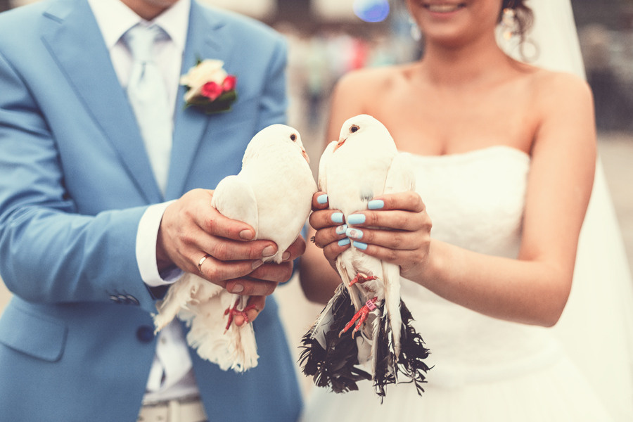 Надежда & Антон. Фотограф Наташа Румянцева