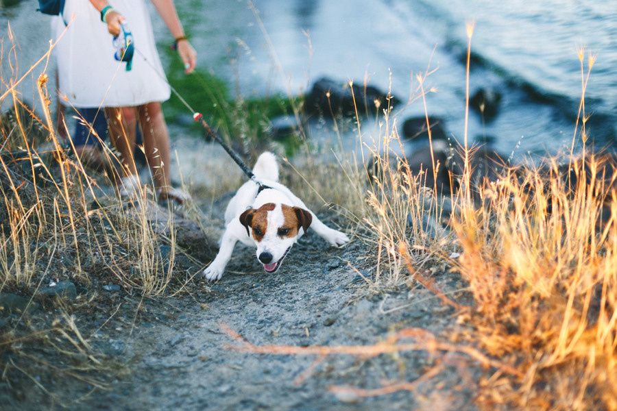 Есения. Фотограф Наташа Румянцева