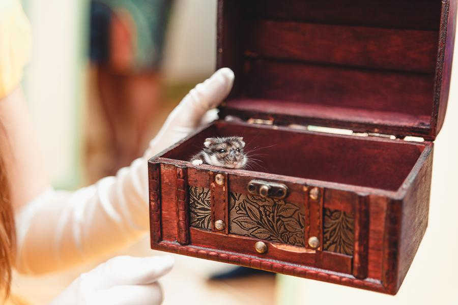 Фотограф в Переделкино | Фотосъемка в Детском Саду. Фотограф Наташа Румянцева