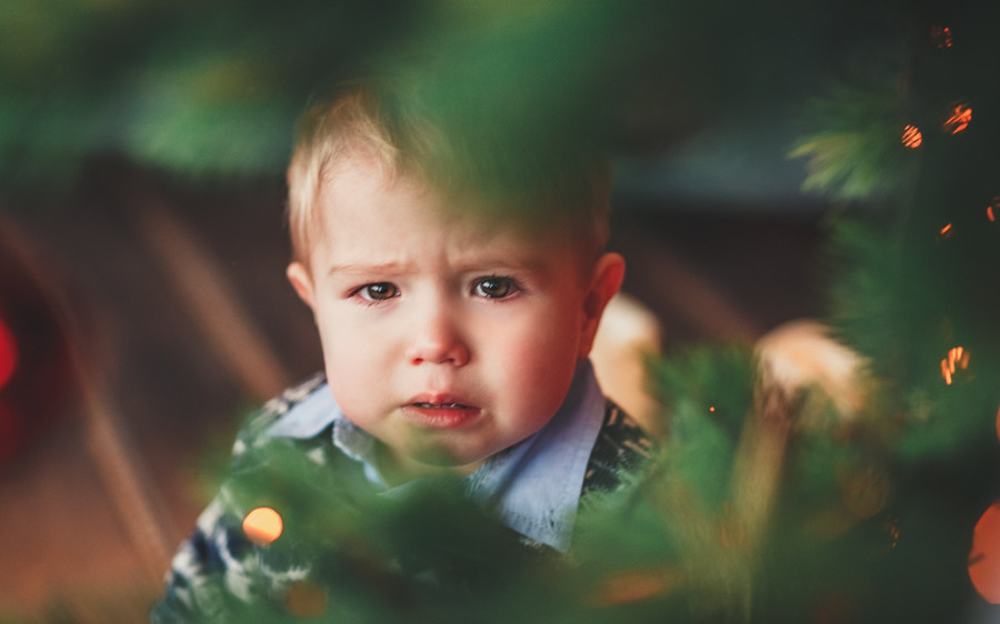 Новогодние фото съемки. Москва. Моск. область. Фотограф Наташа Румянцева