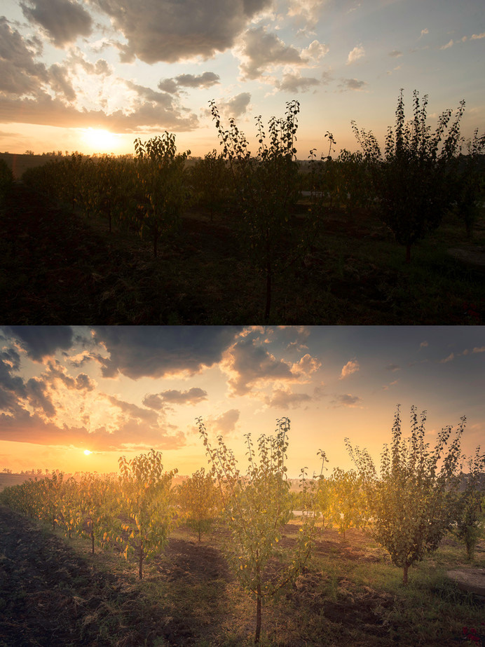 Видеокурс по обработке пейзажа | Фотограф Дмитрий Купрацевич. Дмитрий Купрацевич профессиональный пейзажный и travel-фотограф