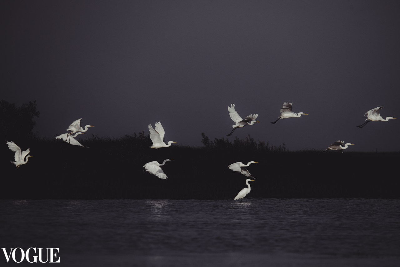 PhotoVogue. Фотографии Лены Соколовой