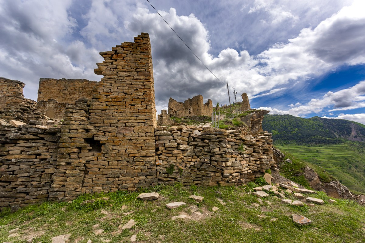 Язык Тролля. Photomantis