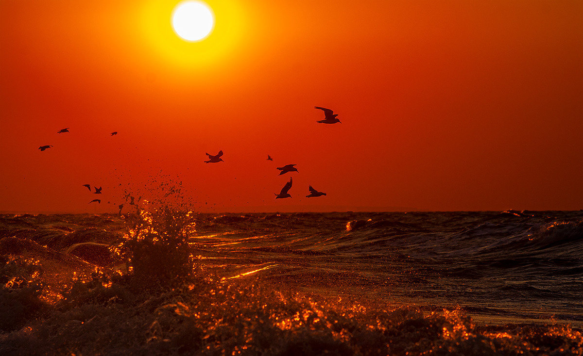 Профессиональная фотосъемка. Ростов-на-Дону