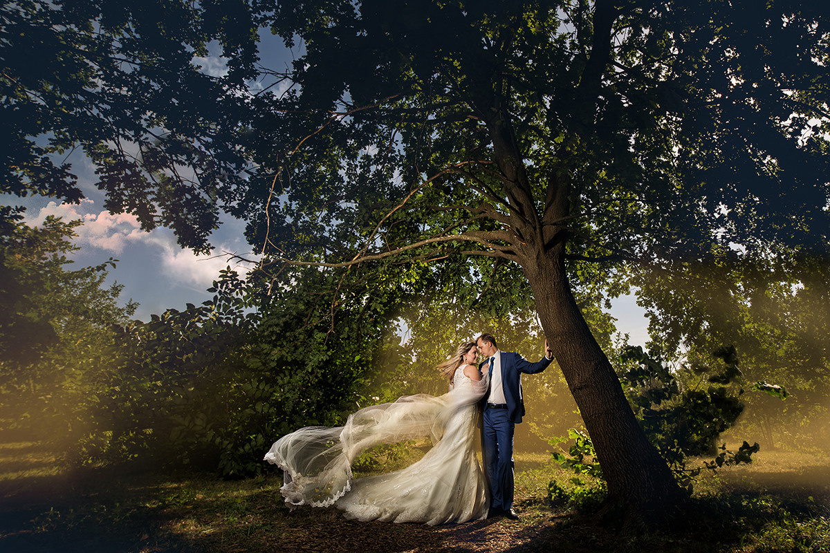 My Wedding Collections. Fine art photography with Dmitry Usanin