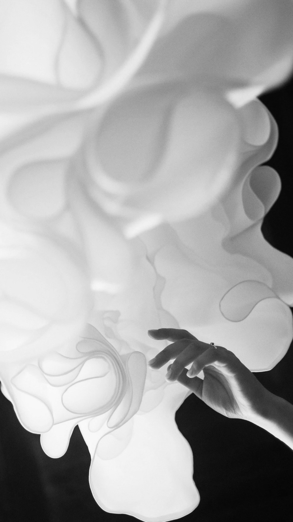 WEDDING 2023-2025. Свадебный Фотограф Максим Пустовой