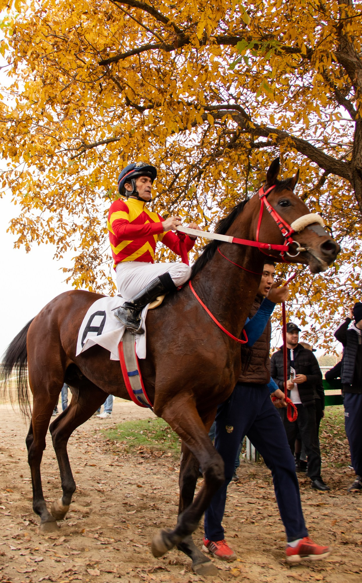 Закрытие скакового сезона на Краснодарском ипподроме. Репортажный, промышленный и маркетплейс-фотограф Дмитрий Чернат